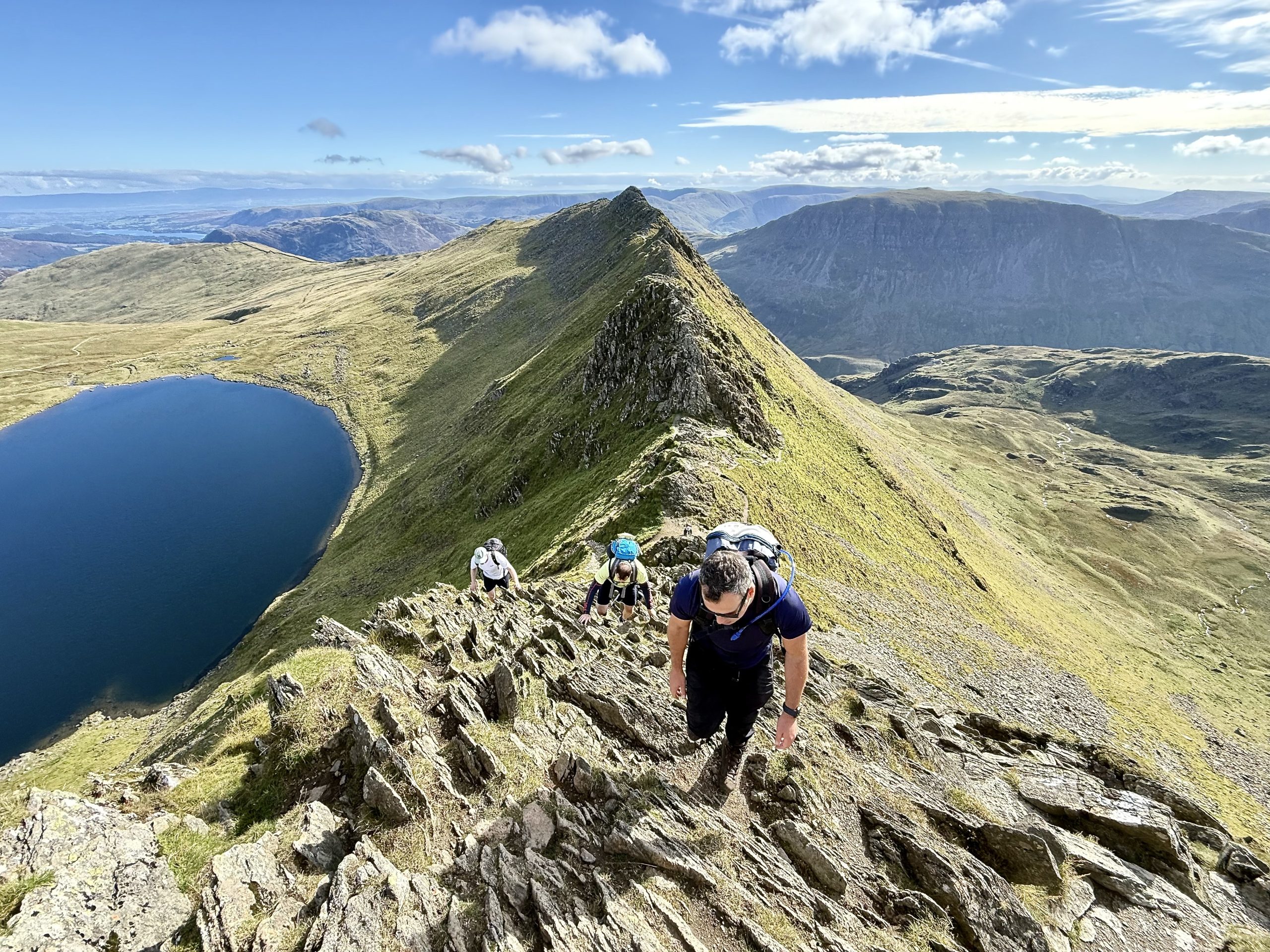 banner_1